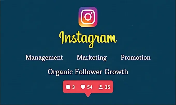 I will promote and manage to grow your instagram organically