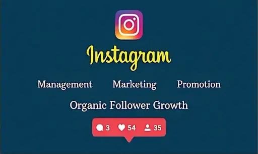 I will promote and manage to grow your instagram organically